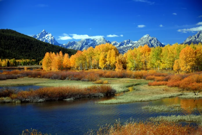 Seasonal Travel: Top Winter, Summer, Spring, and Fall Destinations