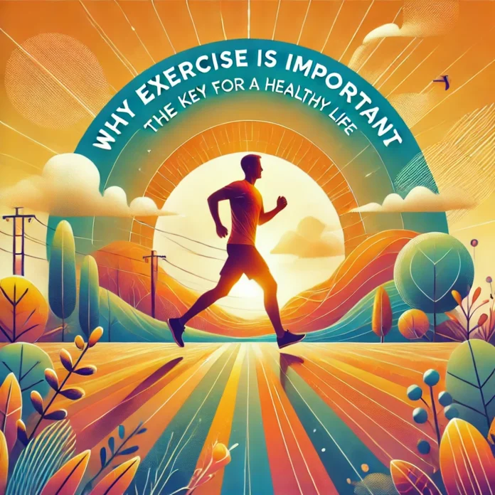 Why Exercise is Important The Key to a Healthy Life